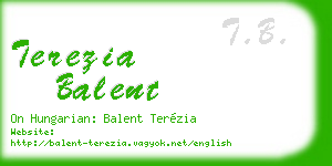 terezia balent business card